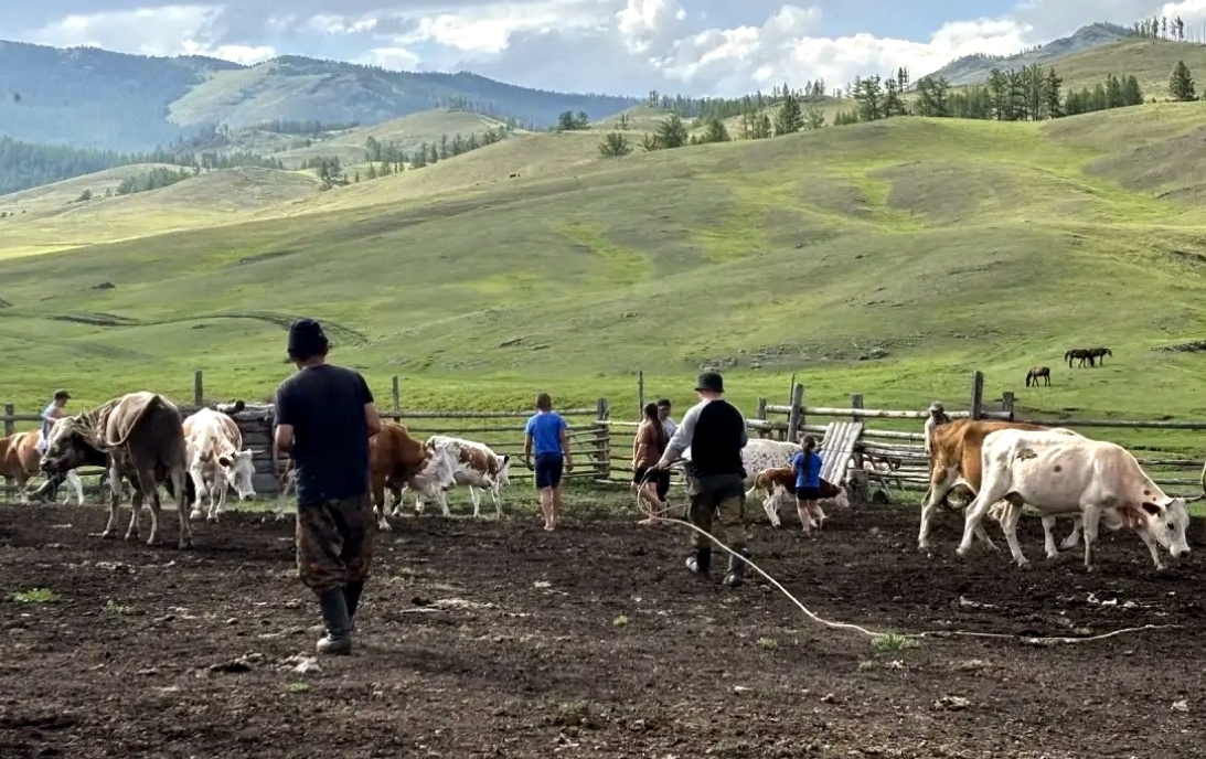 false